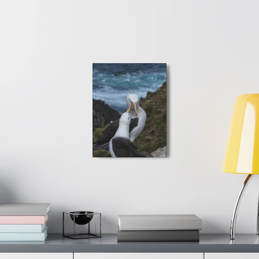 Albatross Couple Canvas Gallery Wraps Unframed